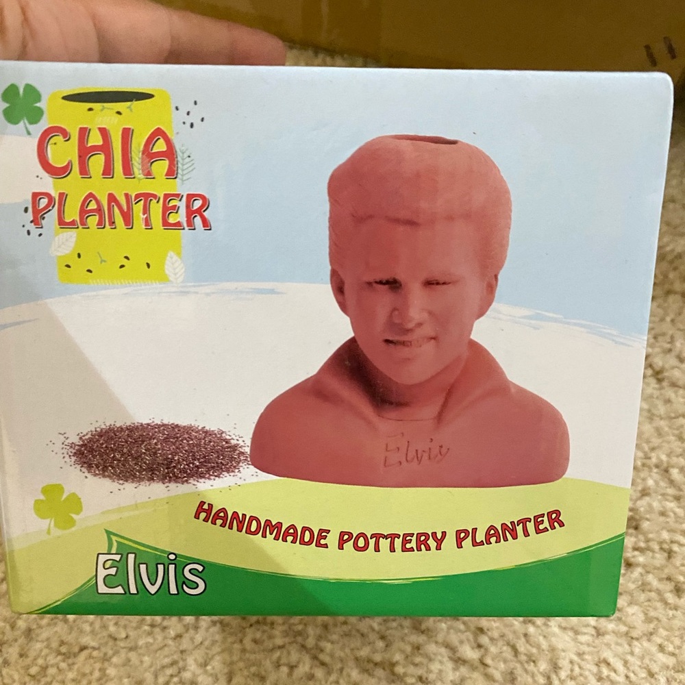 Chi Elvis Plant